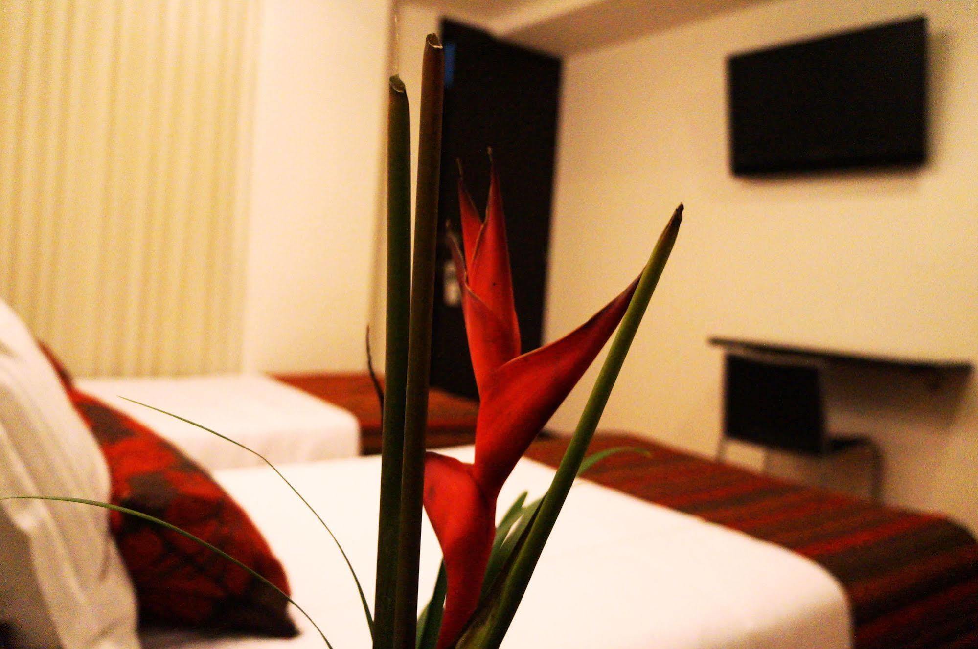 Hotel Airport Travel Bogotá Dış mekan fotoğraf